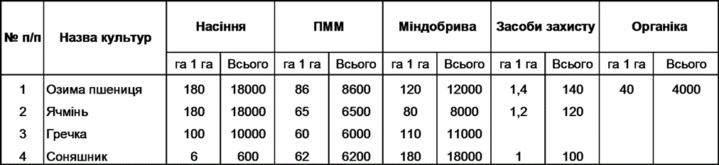 Короткий опис підприємницького проекту