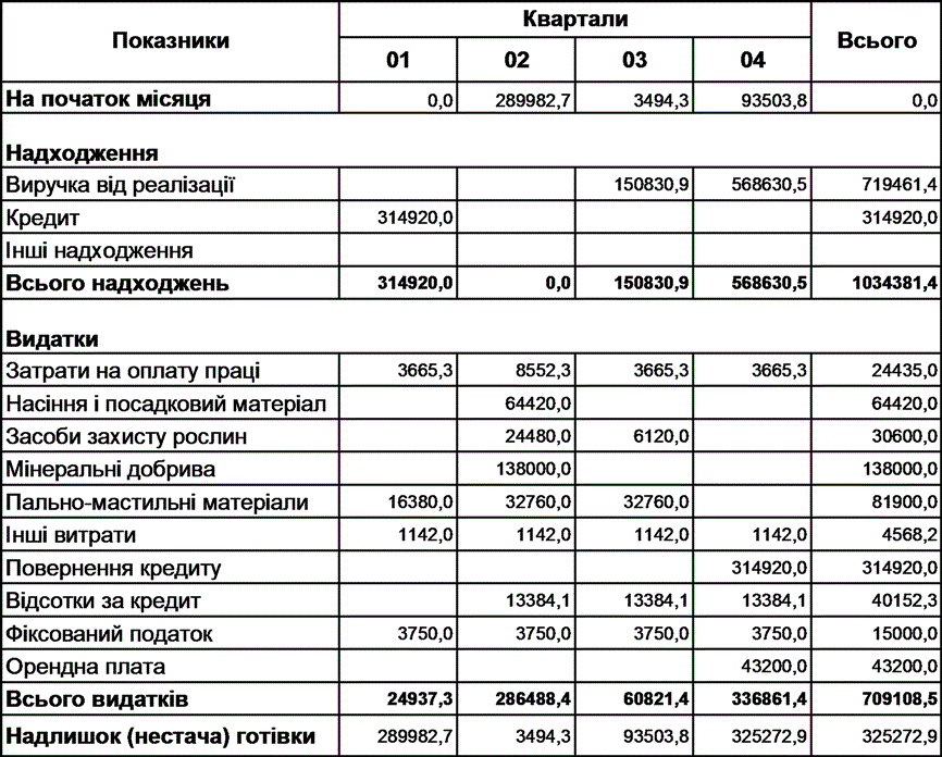 Короткий опис підприємницького проекту
